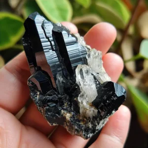 Black Tourmaline crystal with a glossy black finish